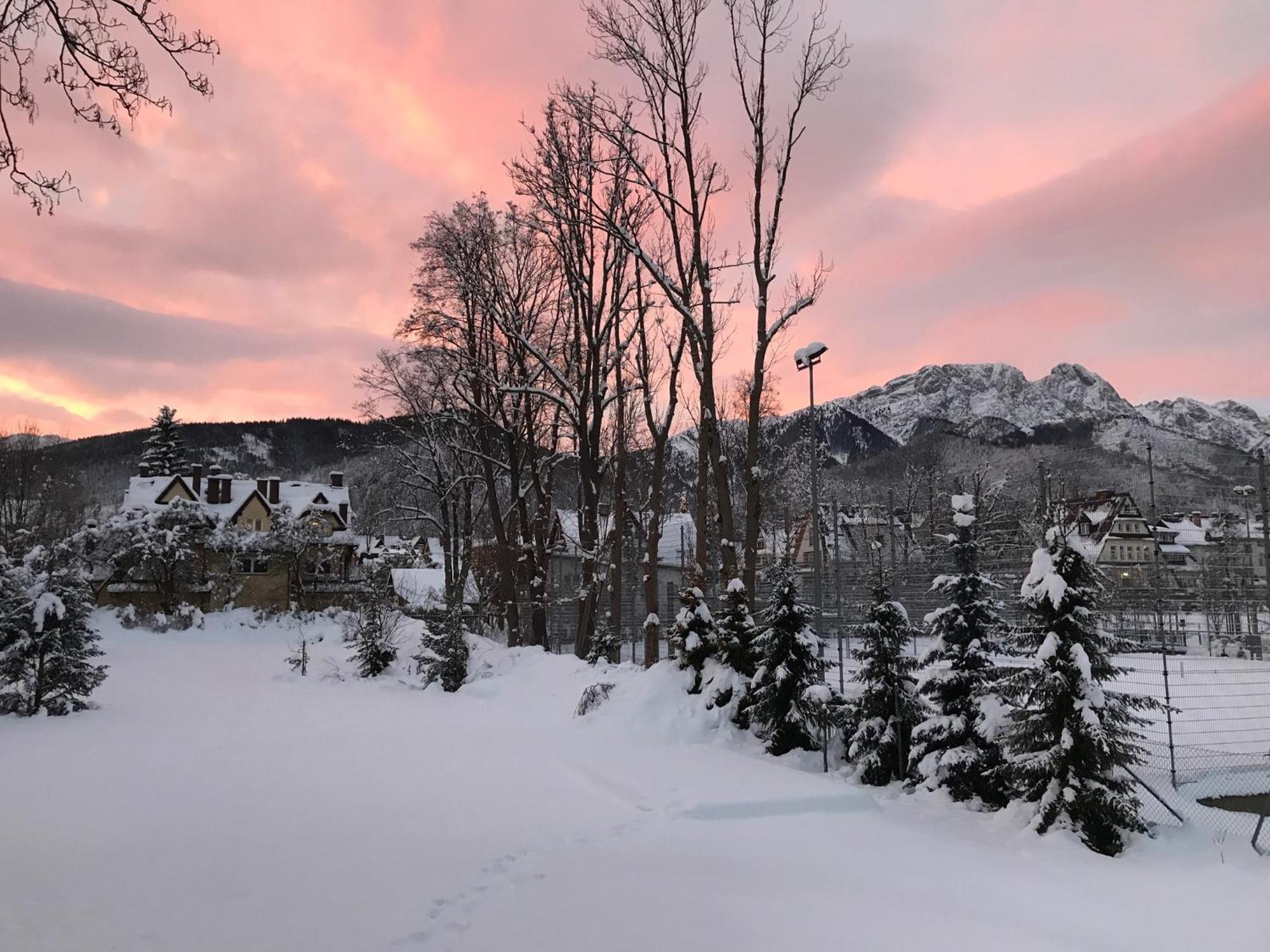 Willa Kmicic Zakopane Esterno foto